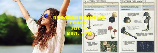 гашиш Алексеевка