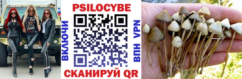 Галлюциногенные грибы прущие грибы  Воткинск 